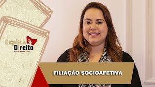 Explica Direito Filiação Socioafetiva  2019 [upl. by Ekihc]