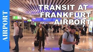 TRANSIT WALK AT FRANKFURT Airport FRA Terminal 1  Connection Flight Transfer Arriving amp Departing [upl. by Suoivatnod675]